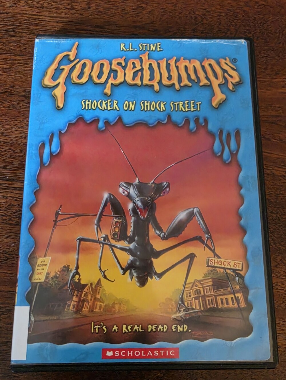 Goosebumps: Shocker On Shock Street DVD RL Stine